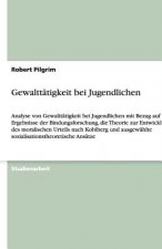 Gewalttatigkeit bei Jugendlichen