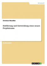 Einfuhrung und Entwicklung eines neuen Projektteams