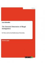 External Dimension of Illegal Immigration