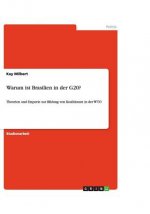Warum ist Brasilien in der G20?