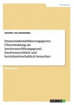 Finanzmarktstabilisierungsgesetz. UEberschuldung als Insolvenzeroeffnungsgrund. Insolvenzrechtlich und betriebswirtschaftlich betrachtet