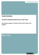Soziale Reprasentationen zum Euro