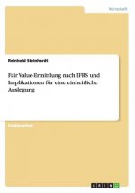 Fair Value-Ermittlung nach IFRS und Implikationen fur eine einheitliche Auslegung