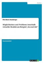 Moeglichkeiten und Probleme innerhalb virtueller Realitat am Beispiel 