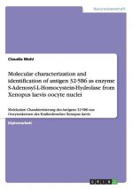 Molecular characterization and identification of antigen 32-5B6 as enzyme S-Adenosyl-L-Homocystein-Hydrolase from Xenopus laevis oocyte nuclei
