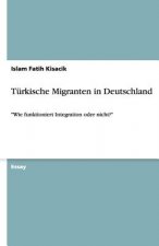 Turkische Migranten in Deutschland
