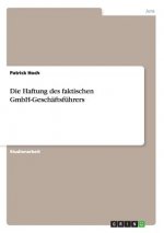 Haftung des faktischen GmbH-Geschaftsfuhrers