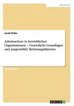 Arbeitsschutz in betrieblichen Organisationen - Gesetzliche Grundlagen und ausgewahlte Belastungsfaktoren