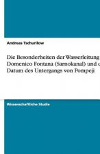 Die Besonderheiten der Wasserleitung von Domenico Fontana (Sarnokanal) und das Datum des Untergangs von Pompeji