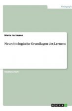 Neurobiologische Grundlagen des Lernens