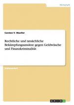 Rechtliche und tatsachliche Bekampfungsansatze gegen Geldwasche und Finanzkriminalitat