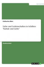 Liebe und Leidenschaften in Schillers Kabale und Liebe