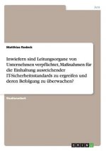 Inwiefern sind Leitungsorgane von Unternehmen verpflichtet, Massnahmen fur die Einhaltung ausreichender IT-Sicherheitsstandards zu ergreifen und deren