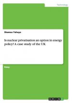 Is nuclear privatisation an option in energy policy? A case study of the UK