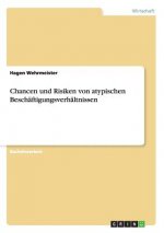 Chancen und Risiken von atypischen Beschaftigungsverhaltnissen