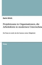 Projektteams in Organisationen, die Arbeitsform in modernen Unternehmen