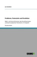 Probleme, Potenziale und Parallelen