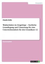 Waldschäden im Erzgebirge - Fachliche Grundlegung und Umsetzung für eine Unterrichtseinheit für den Grundkurs 12