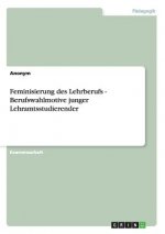 Feminisierung des Lehrberufs - Berufswahlmotive junger Lehramtsstudierender