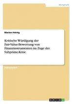 Kritische Wurdigung der Fair-Value-Bewertung von Finanzinstrumenten im Zuge der Subprime-Krise