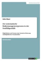 systematische Risikomanagementprozess in der Straffalligenhilfe