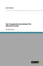 Europaische Gerichtshof Fur Menschenrechte
