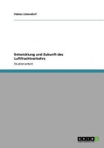 Entwicklung und Zukunft des Luftfrachtverkehrs