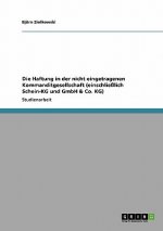 Haftung in der nicht eingetragenen Kommanditgesellschaft (einschliesslich Schein-KG und GmbH & Co. KG)