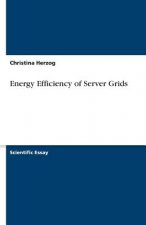 Energy Efficiency of Server Grids