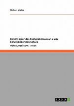 Bericht über das Fachpraktikum an einer berufsbildenden Schule