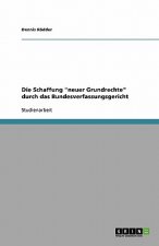 Schaffung neuer Grundrechte durch das Bundesverfassungsgericht