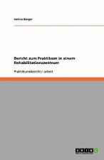Bericht zum Praktikum in einem Rehabilitationszentrum