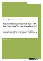 Warum treiben nicht mehr AEltere Sport? Eine Studie zum inneren Schweinehund