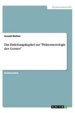 Einleitungskapitel Zur Ph nomenologie Des Geistes