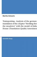 Trainspotting - Analysis of the German Translation of the Chapter Strolling Through the Meadows with the Model of Juliane House (Translation Quality A