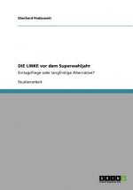 LINKE vor dem Superwahljahr