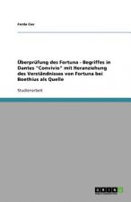 Überprüfung des Fortuna - Begriffes in Dantes  