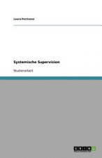 Systemische Supervision