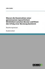 Warum die Konstruktion einer gemeinsamen (sprachlichen) Wirklichkeit zwischen Berater und Klient den Erfolg einer Beratung bestimmt