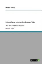 Intercultural communication conflicts