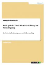 Risikopolitik
