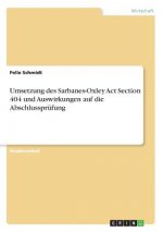 Umsetzung des Sarbanes-Oxley Act Section 404 und Auswirkungen auf die Abschlussprufung
