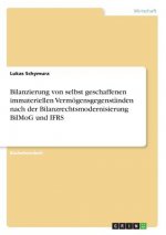 Bilanzierung von selbst geschaffenen immateriellen Vermoegensgegenstanden nach der Bilanzrechtsmodernisierung BilMoG und IFRS
