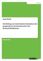 Beitrag zur numerischen Simulation des progressiven Erosionsbruches bei Steinschuttdammen