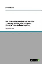 komischen Elemente im Lustspiel 