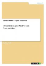Identifikation und Analyse von Prozessrisiken