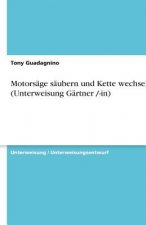 Motorsäge säubern und Kette wechseln (Unterweisung Gärtner /-in)