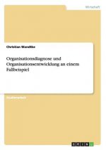 Organisationsdiagnose und Organisationsentwicklung an einem Fallbeispiel