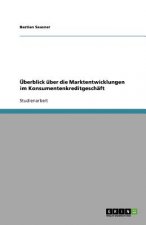 UEberblick uber die Marktentwicklungen im Konsumentenkreditgeschaft
