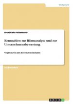 Kennzahlen zur Bilanzanalyse und zur Unternehmensbewertung